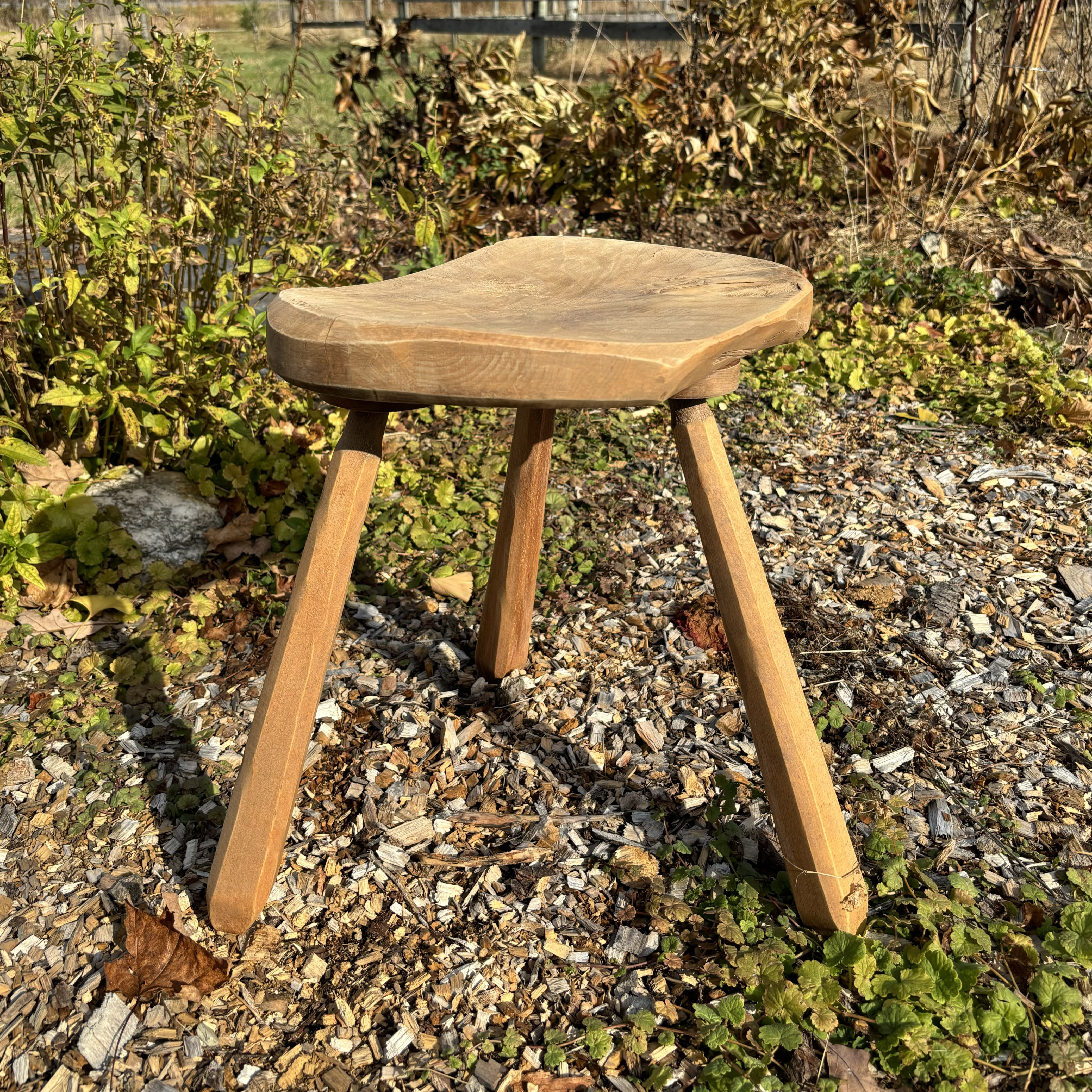 Anthroposophic Stool Image