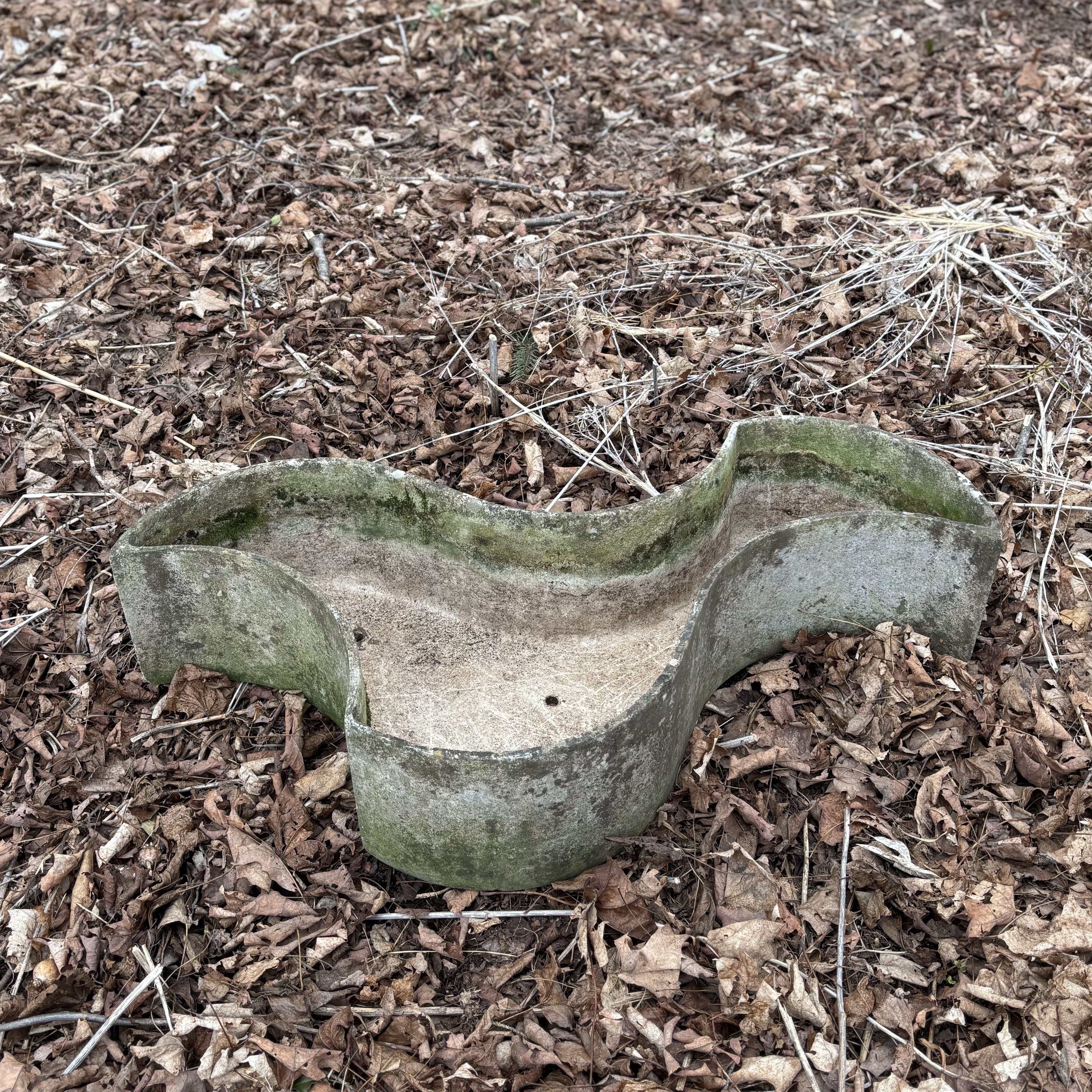 Biomorphic Planter by Carlo Cocca Image